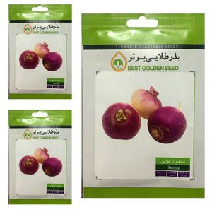 بذر شلغم ارغوانی بذر طلایی برتر کد btb 58 مجموعه 3 عددی