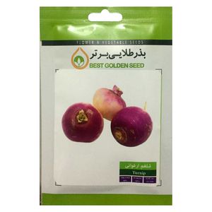 بذر شلغم ارغوانی بذر طلایی برتر کد bzt 58