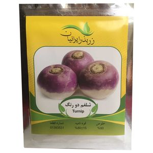 بذر شلغم دو رنگ زر بذر ایرانیان مدل p28