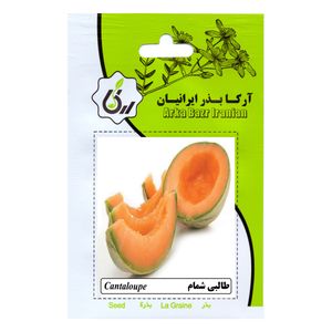 بذر طالبی شمام آرکا بذر ایرانیان کد ark 167