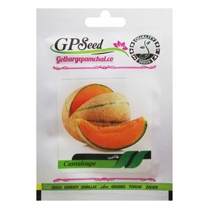بذر طالبی گلبرگ پامچال کد gpf 119