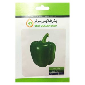بذر فلفل دلمه سبز بذر طلایی برتر کد bzt 64