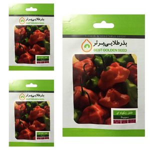 بذر فلفل زنگوله ای بذر طلایی برتر کد btb 62 مجموعه 3 عددی