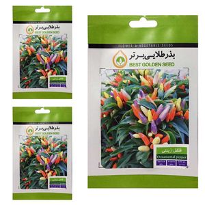 بذر فلفل زینتی بذر طلایی برتر کد btb 63 مجموعه 3 عددی