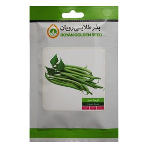 بذر لوبیا سبز بذر طلایی رویان مدل bztr 082