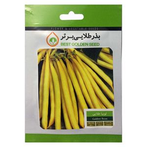 بذر لوبیا طلایی بذر طلایی برتر کد bzt 83