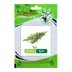 بذر مرزه فصل سبز کد seed 011