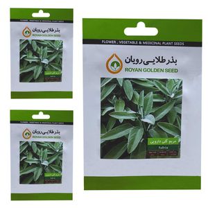 بذر مریم گلی دارویی بذر طلایی رویان کد bzt 146 مجموعه 3 عددی
