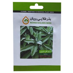 بذر مریم گلی دارویی بذر طلایی رویان کد bzt 146