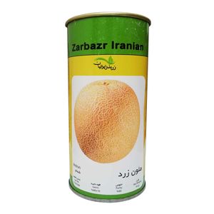 بذر ملون زرد زر بذر ایرانیان مدل 61 gh100g