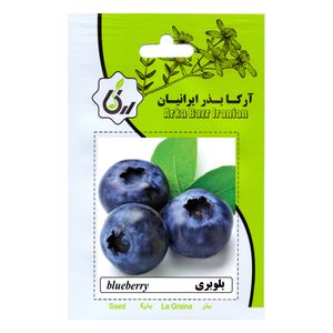 بذر میوه بلوبری آرکا بذر ایرانیان کد 34 ark