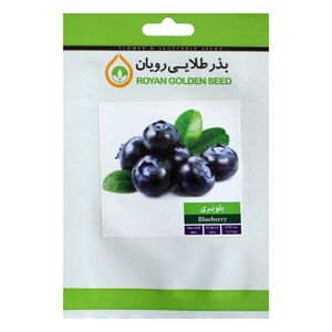 بذر میوه بلوبری بذر طلایی رویان کد bzt 131