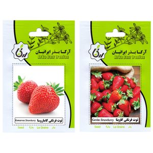 بذر میوه توت فرنگی کاماروسا و توت فرنگی گاویتا آرکا بذر ایرانیان کد ark a ark 02 وزن 20 گرم مجموعه 2 عددی