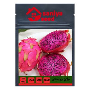 بذر میوه دراگون فروت بنفش سانیا سید مدل d6