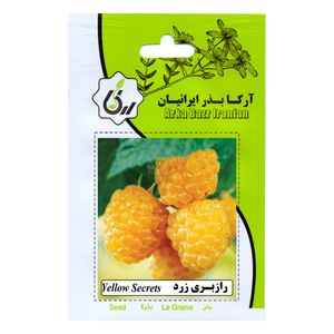 بذر میوه رازبری زرد آرکا بذر ایرانیان کد 37 ark