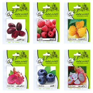 بذر میوه های لوکس آرکا بذر ایرانیان کد 006 ark مجموعه 6 عددی
