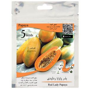بذر میوه پاپایا خربزه درختی ردلیدی مدل gl05