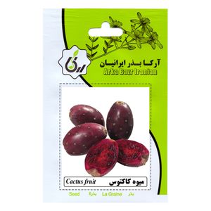 بذر میوه کاکتوس آرکا بذر ایرانیان کد 208 ark
