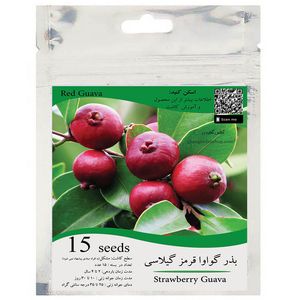 بذر میوه گواوا قرمز گیلاسی توت فرنگی مدل gl15