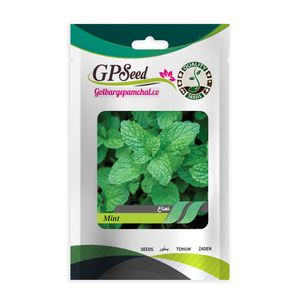بذر نعناع گلبرگ پامچال کد gpf 329
