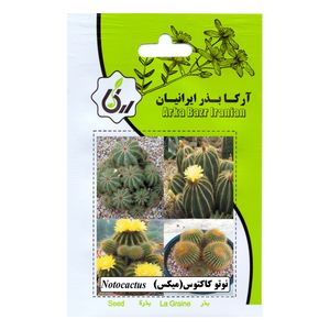 بذر نوتو کاکتوس میکس آرکا بذر ایرانیان کد 107 ark