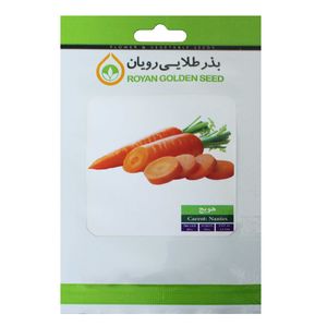 بذر هویج بذر طلایی رویان مدل bztr 086