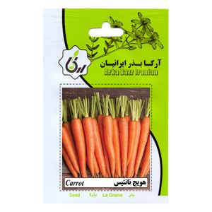 بذر هویج نانتیس آرکا بذر ایرانیان کد ark 182