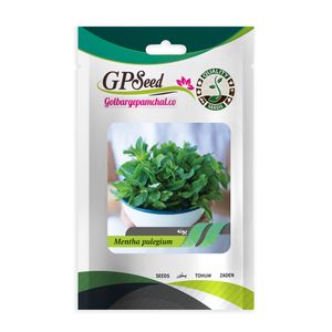 بذر پونه گلبرگ پامچال کد gpf 303