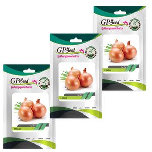 بذر پیاز زرد گلبرگ پامچال کد gpf 106 مجموعه 3 عددی