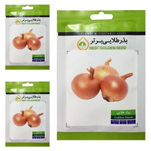 بذر پیاز طلایی بذر طلایی برتر کد btb 49 مجموعه 3 عددی