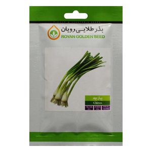 بذر پیازچه بذر طلایی رویان مدل bztr 089