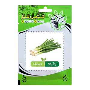 بذر پیازچه فصل سبز کد seed 006
