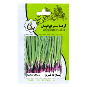 بذر پیازچه قرمز آرکا بذر ایرانیان کد ark 210
