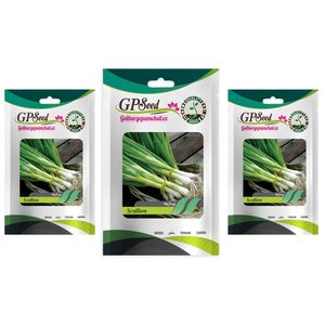 بذر پیازچه گلبرگ پامچال کد gpf 142 مجموعه 3 عددی
