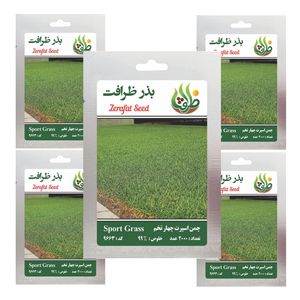 بذر چمن خارجی اسپرت چهار تخم ظرافت مدل bz9663 مجموعه 5 عددی