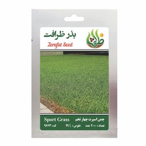 بذر چمن خارجی اسپرت چهار تخم ظرافت مدل bz9663
