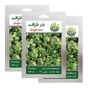 بذر چمن دایکوندرا ظرافت مدل bz18069 بسته 3 عددی