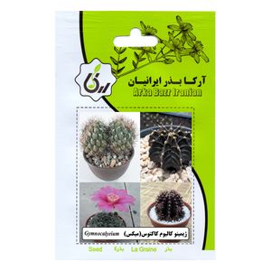 بذر ژیمینو کالیوم کاکتوس میکس آرکا بذر ایرانیان کد 112 ark