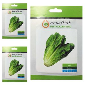 بذر کاهو بذر طلایی برتر کد btb 72 مجموعه 3 عددی