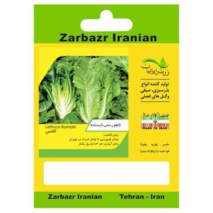 بذر کاهو رسمی تابستانه زربذر ایرانیان کد zbp 41