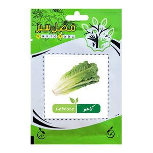 بذر کاهو فصل سبز کد seed 016
