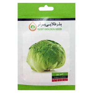بذر کاهو پیچ بذر طلایی برتر کد bzt 71