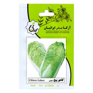 بذر کاهو پیچ چینی آرکا بذر ایرانیان کد ark 181