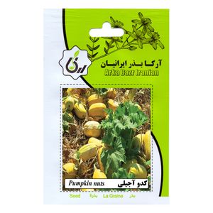بذر کدو آجیلی آرکا بذر ایرانیان کد 182 ark
