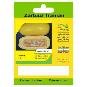 بذر کدو آجیلی مشهدی زر بذر ایرانیان کد zbp 54