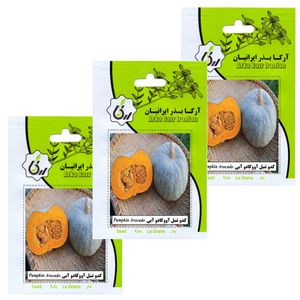 بذر کدو تنبل آووکادو آبی آرکا بذر ایرانیان کد 192 ark مجموعه 3 عددی
