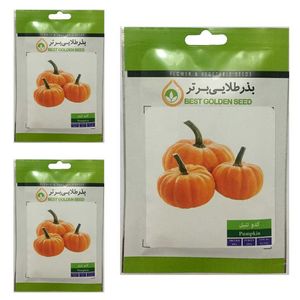 بذر کدو تنبل بذر طلایی برتر کد btb 68 مجموعه 3 عددی
