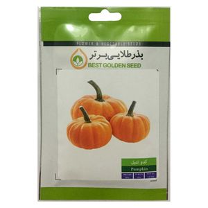 بذر کدو تنبل بذر طلایی برتر کد bzt 68