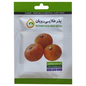 بذر کدو تنبل مینیاتوری بذر طلایی رویان کد bzt 147
