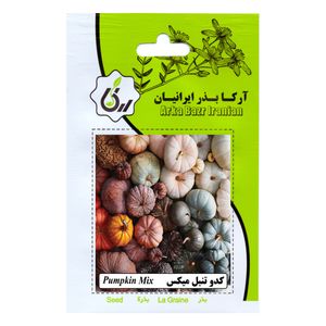 بذر کدو تنبل میکس آرکا بذر ایرانیان کد 193 ark